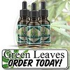 Benefits of Green Leaves CBD Oil Logo